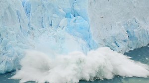 38K views · 146 reactions | The negative impact of factory farming practices on animals, the environment, and human health cannot be ignored. Join us in advocating for change and creating a healthier future for everyone.  bit.ly/j0in2ot3 | World Animal Protection Africa | Facebook