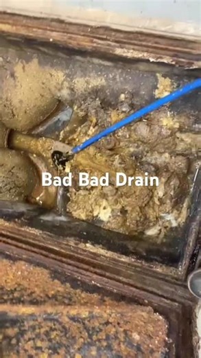 Cheap toilet tissue does this ! #drain #drainproblems