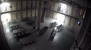 Savage Life in the Cook County jail