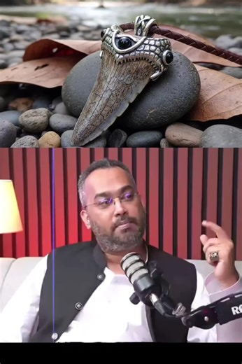 Crocodile Teeth: Nature's Fearsome Design