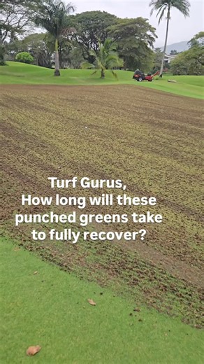 I'm Aron, I create relatable golf content off & on golf courses. on Instagram: "It's that time of the year in Costa Rica and these Bermuda greens just got punched by a Toro Procore 648. How long until they're full covered and puttable again?"