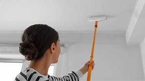 Don't Make This Primer Mistake When Repainting Your Ceiling - House Digest