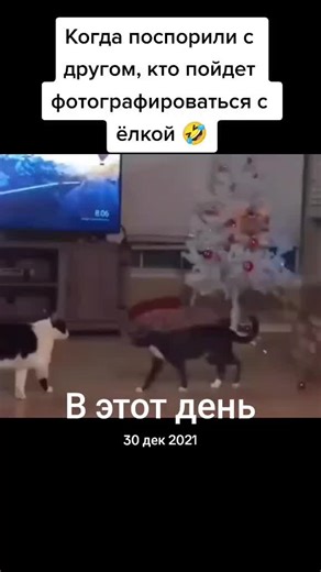 Significant Events on December 30