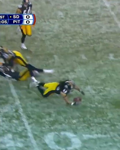 This Troy Polamalu interception 🤯 #PITvsLAC: 11/9 at 8:20 PM ET on NBC