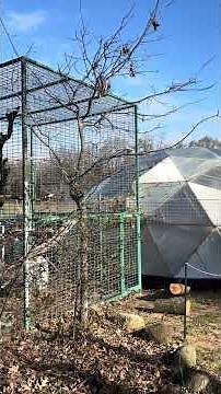 Take a Tour of a Sanctuary Giving Monkeys a New Life | Primates Incorporated