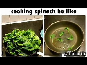 actually funny tumblr moments (from reddit)