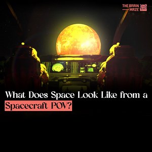 What if you could see the solar system from a spacecraft’s perspective? In this animation, we go on a journey through space and explore the mysteries of our cosmic neighborhood like never before. In the right corner of the video, you can see the distance we are passing to reach each planet! And yes, we included Pluto as well. | The Brain Maze