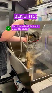 🚐 Dog Groomers Wanted—Join GroomBar Chicago! 🐾✨ We’re looking for talented and passionate groomers to join our mobile grooming team! Bring luxury spa experiences right to our clients’ doorsteps and work with pups of all shapes and sizes. 💰 Earn $300 - $500 per day 💼 Full-time & Part-time positions available ⏰ Flexible schedule to fit your lifestyle 🚐 Brand new, state-of-the-art grooming van ✂️ Free shear sharpening every 8 weeks 🌴 Paid Time Off to relax and recharge 🐾 Employee discount to