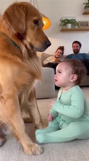 Cute Dog 🐶 🐕 Moments #Dog #cute #adorable