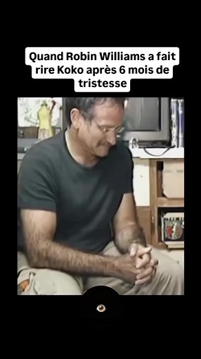 🔴 Robin Williams a aidé Koko le gorille à rire pour la première fois en 6 mois, après que ce dernier ait perdu son copain d’enfance. Koko avait acquis une certaine notoriété depuis 1978 grâce à sa maîtrise d’une forme de langue des signes américaine (ASL) adaptée aux gorilles et pouvait ainsi communiquer avec les humains, Koko comprenait l’anglais parlé et utilisait plus de 1 000 mots pour s’exprimer sur les événements quotidiens, la vie, l’amour et même la mort, ce que peu de singes ont été ca