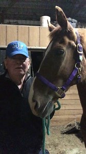 8K views · 280 reactions | WE ARE IN FLORIDA - "FIGHTING" FOR GLIMMER AND ALL HIS KIN - THAT WAS THE PROMISE MADE TO GLIMMER WHEN WE SAVED HIM. WITH YOUR HELP, WE ARE GOING TO WIN THIS FIGHT. IT COSTS MONEY TO DO THIS. IF YOU ARE IN A POSITION TO HELP, ANY DONATION YOU CAN MAKE WILL BE APPRECIATED! PLEASE CLICK HERE TO DO SO: https://www.paypal.com/cgi-bin/webscr?cmd=_s-xclick&hosted_button_id=V7ZYMWM22RQ6J | GEN'S ICE Glimmer | Facebook