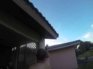 Spray the Wasp Nest with raid