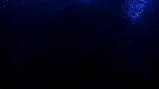 2.1K views | Told with jaw-dropping visuals, world-class puppetry and...