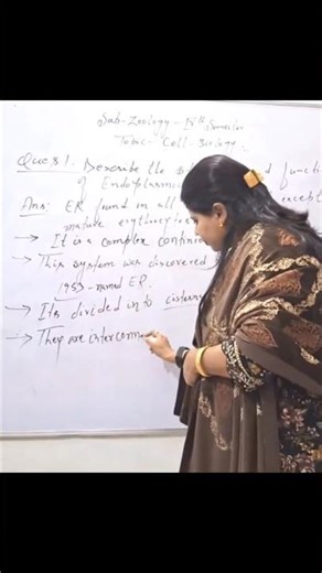 function of Endoplasmic reticulum