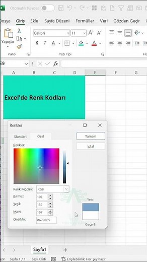 Excel'de Renk Kodları Kullanımı #shorts