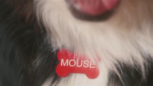 PetSmart TV Spot, 'Holiday Story: Free Photo With Santa'