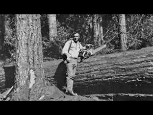 Legends of Logging - Buzz Martin