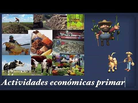 Actividades económicas primarias
