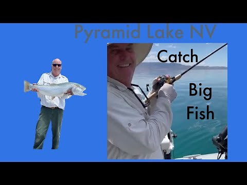 Pyramid Lake Nevada trolling for Lahontan Cutthroat Trout tips. ‪@fairplayfishing‬