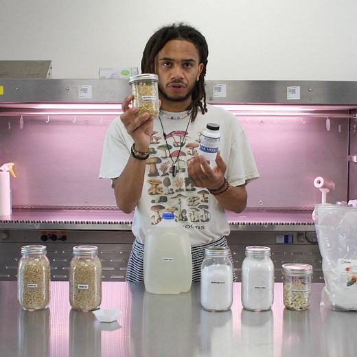 How to Grow Cordyceps Mushrooms with William Padilla-Brown | North Spore