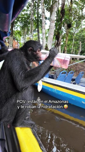 Aventura en el Amazonas: ¡Sorpresa con la hidratación!