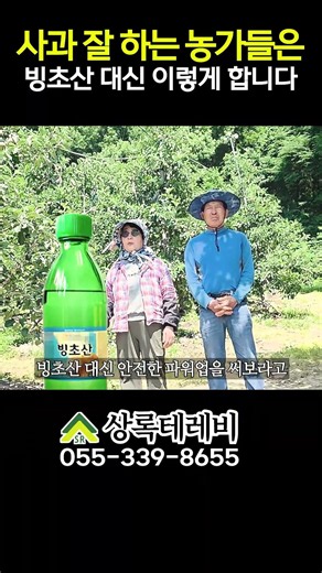 요즘 사과 잘하는 농가들은 빙초산 대신 이렇게 합니다