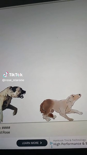 Creative Dog Transformation Ideas