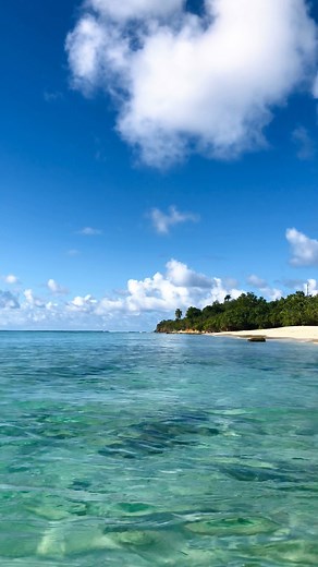 14K views · 335 reactions | When winter goes cold, we go warm. ❄️ ✈️ ☀️  St. Croix, USVI  Travel Editor @tracey_minkin | Coastal Living | Facebook