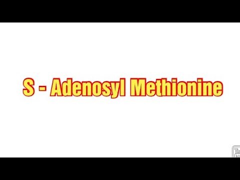 S-Adenosyl Methionine || Biochemistry || SAM || SAMe #methionine #sam