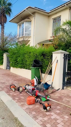Gardening Tips for Your Home in North Cyprus
