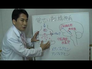 「覚せい剤精神病」【吉田たかよし】９０秒でわかる 医学解説その14