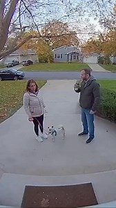 1.1M views · 7.3K reactions | Hawk takes their dog and flies off!! | Chris & Che Media | Facebook