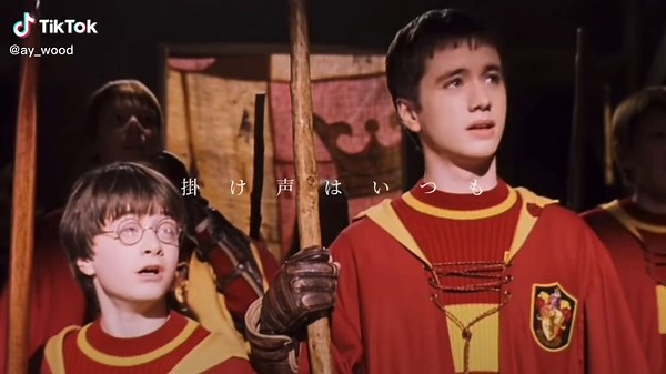 Exciting Quidditch Match with Oliver Wood and Sean Biggerstaff