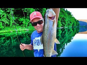 Catch Trout EASY With This SIMPLE Setup!!!