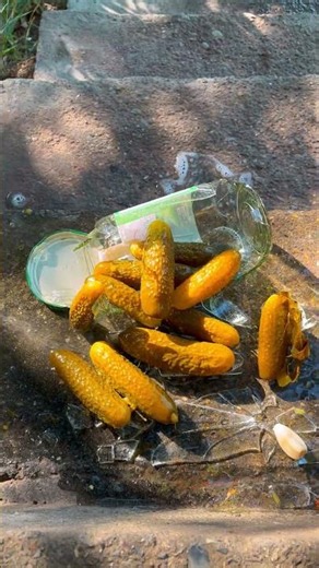 🔥 Every Bottle Break Is More Satisfying! #shorts #satisfying #viral