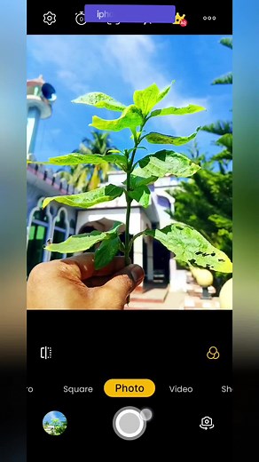 Learn Professional Photo Editing for iPhone Camera