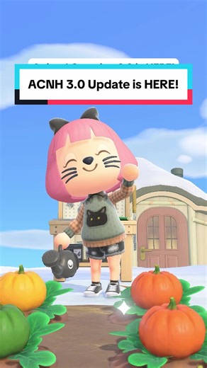 Animal Crossing 3.0 Update: What's New in ACNH