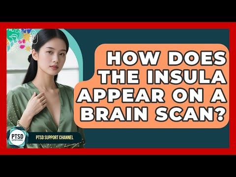 How Does The Insula Appear On A Brain Scan? - PTSD Support Channel