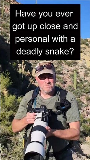 You Won’t Believe What This Snake’s Eye Looks Like Close Up…