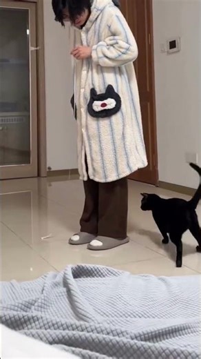 String Theory: Cat Edition! 🤔