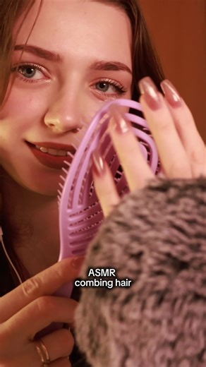 Raccoon ASMR Experience