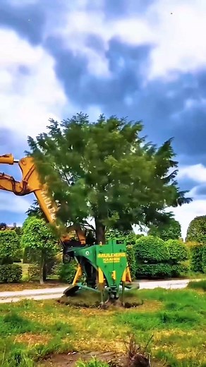 337K views · 9.5K reactions | Next-Level Tree and Lawn Cutting Skills — So Satisfying to Watch‼️ | Beautiful Yard Grass | Facebook