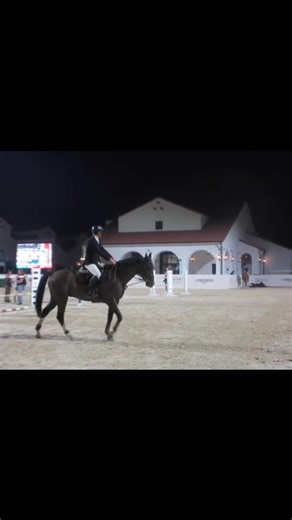 horse show through my digital camera🐎 #foryoupage #fyp #horseriding #explore #foryou