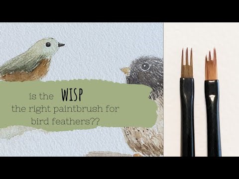 Using a filbert wisp paintbrush for feathers. Painting watercolor birds.