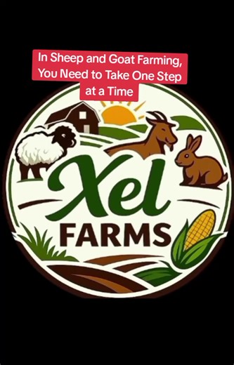 Step-by-Step Guide to Sheep and Goat Farming