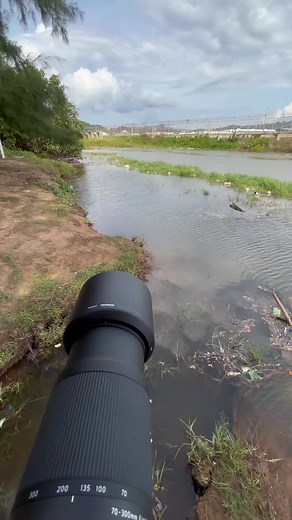 Capture Unique Plane Spotting Moments with Sony A7II