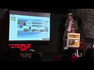 Des abeilles urbaines connectées | Audric De Campeau | TEDxFribourg