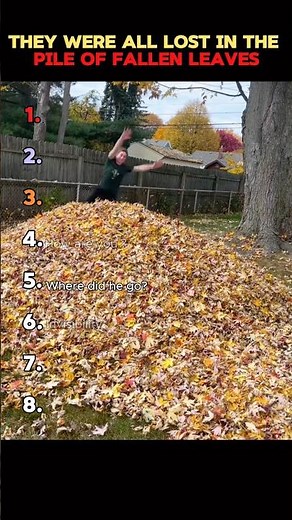 This is the joy of childhood #funnyshorts #plie #funnyvideos #autumn #fyp