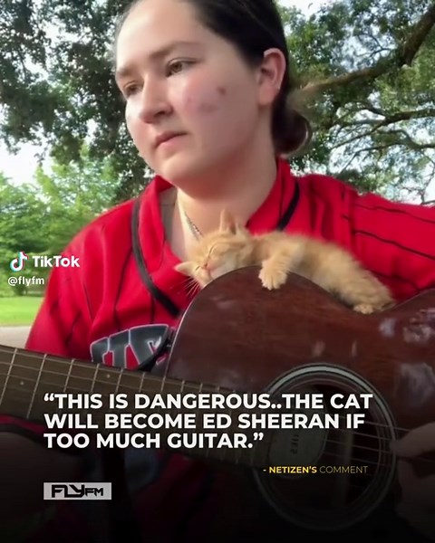 Understanding Cat Behavior and Emotions