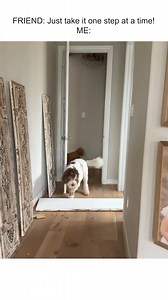 206K views · 1.6K reactions | The first step is the hardest! 殺 #Dogs #Dog | Try Not to Laugh | Facebook